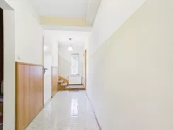REMAX-169-DS-AMBER - zdjęcie nr 1