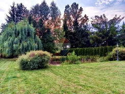 REMAX-19-DS-bepgIsSJbJ - zdjęcie nr 4