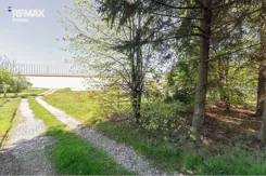 REMAX-4085/3123/ODS - zdjęcie nr 4