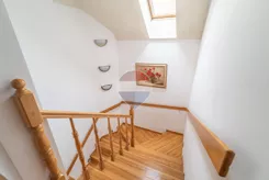 REMAX-6/17717/ODS - zdjęcie nr 0