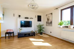 REMAX-28-DS-SMART - zdjęcie nr 0