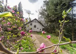 REMAX-3979/3123/ODS - zdjęcie nr 0