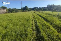 REMAX-322-GS-INVEST - zdjęcie nr 2