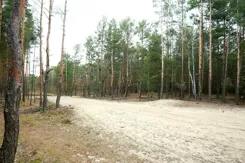 REMAX-99-GS-AMBER - zdjęcie nr 1
