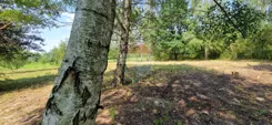 REMAX-17-GS-bepgIsSJbJ - zdjęcie nr 1