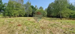 REMAX-17-GS-bepgIsSJbJ - zdjęcie nr 2