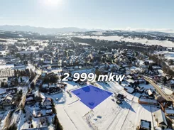 REMAX-3100/2680/OGS - zdjęcie nr 1