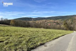 REMAX-6190/3123/OGS - zdjęcie nr 0