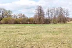 REMAX-1916/2037/OGS - zdjęcie nr 2