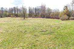 REMAX-1916/2037/OGS - zdjęcie nr 3
