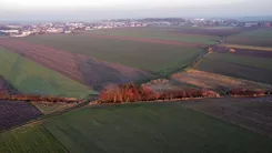 REMAX-EXPERTS-I-483/3953/OGS - zdjęcie nr 0