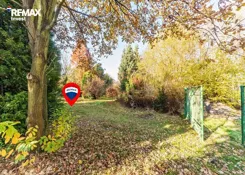 REMAX-6036/3123/OGS - zdjęcie nr 0