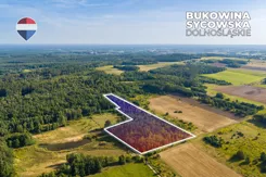 REMAX-55-GS-CBm8VfC6J0 - zdjęcie nr 1