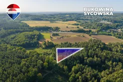 REMAX-56-GS-CBm8VfC6J0 - zdjęcie nr 0