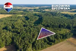 REMAX-56-GS-CBm8VfC6J0 - zdjęcie nr 1