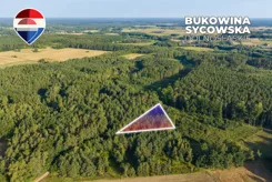 REMAX-56-GS-CBm8VfC6J0 - zdjęcie nr 2