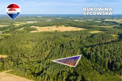 REMAX-56-GS-CBm8VfC6J0 - zdjęcie nr 3