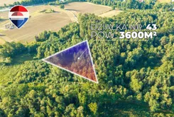 REMAX-56-GS-CBm8VfC6J0 - zdjęcie nr 4