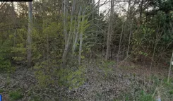 REMAX-76-GS-AMBER - zdjęcie nr 4