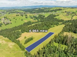 REMAX-53-GS-DUO001 - zdjęcie nr 0
