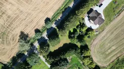 REMAX-482/5569/OGS - zdjęcie nr 3