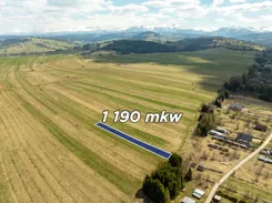 REMAX-3238/2680/OGS - zdjęcie nr 0