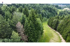 REMAX-230-GS-INVEST - zdjęcie nr 2