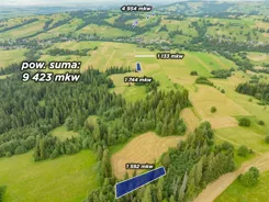 REMAX-52-GS-DUO001 - zdjęcie nr 0