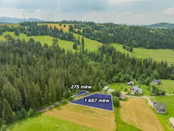 REMAX-51-GS-DUO001 - zdjęcie nr 1