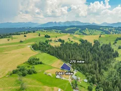 REMAX-51-GS-DUO001 - zdjęcie nr 2
