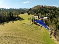 REMAX-3256/2680/OGS - zdjęcie nr 1