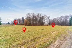 REMAX-502-GS-INVEST - zdjęcie nr 2