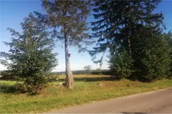 REMAX-307/5569/OGS - zdjęcie nr 2