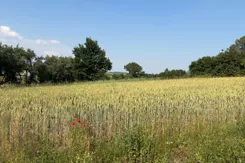 REMAX-65-GS-DUO001 - zdjęcie nr 3