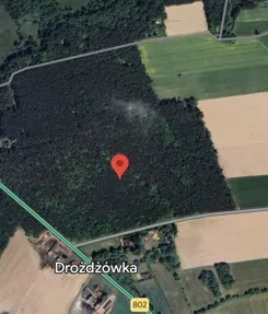 REMAX-890/3992/OGS - zdjęcie nr 2