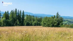REMAX-358-GS-INVEST - zdjęcie nr 1