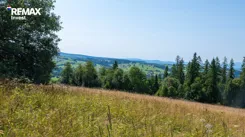 REMAX-358-GS-INVEST - zdjęcie nr 3
