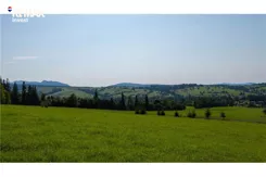 REMAX-357-GS-INVEST - zdjęcie nr 2