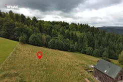 REMAX-428-GS-INVEST - zdjęcie nr 1