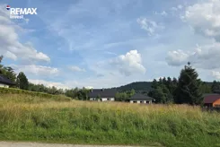 REMAX-303-GS-INVEST - zdjęcie nr 0