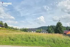 REMAX-303-GS-INVEST - zdjęcie nr 1