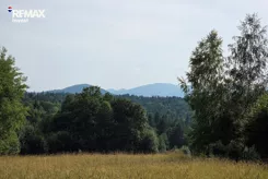 REMAX-303-GS-INVEST - zdjęcie nr 4