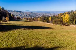 REMAX-2682/2680/OGS - zdjęcie nr 0