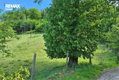 REMAX-64-GS-INVEST - zdjęcie nr 3