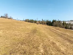 REMAX-3122/2680/OGS - zdjęcie nr 3