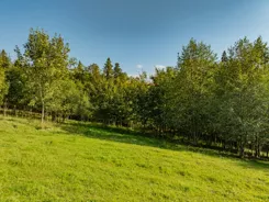 REMAX-140-GS-DUO001 - zdjęcie nr 1