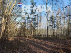 REMAX-SMART-I-381/7675/OGS - zdjęcie nr 4