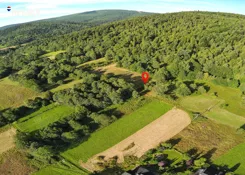 REMAX-361-GS-INVEST - zdjęcie nr 1