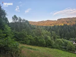 REMAX-6130/3123/OGS - zdjęcie nr 2