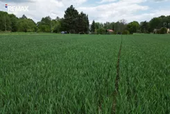 REMAX-105-GS-INVEST - zdjęcie nr 1